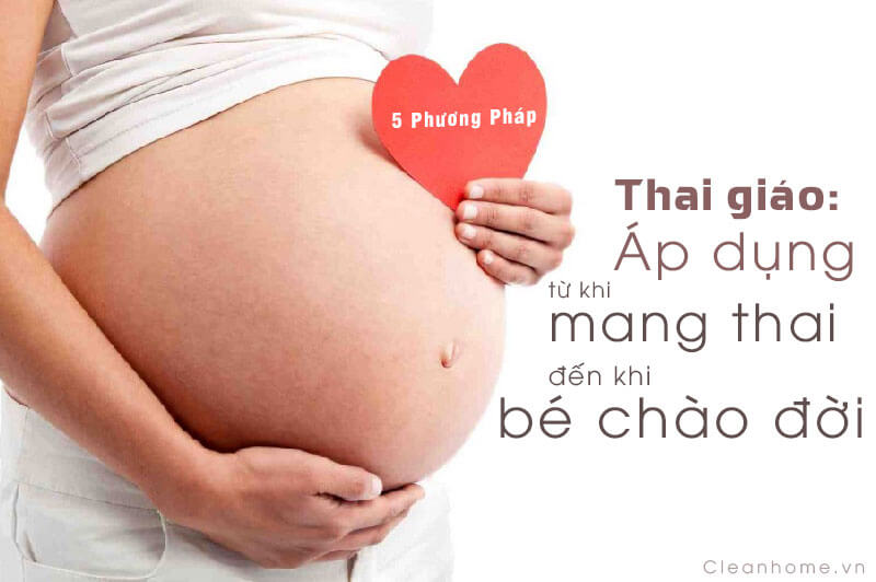 5-phuong-phap-thai-giao-thai-nhi-cleanhome