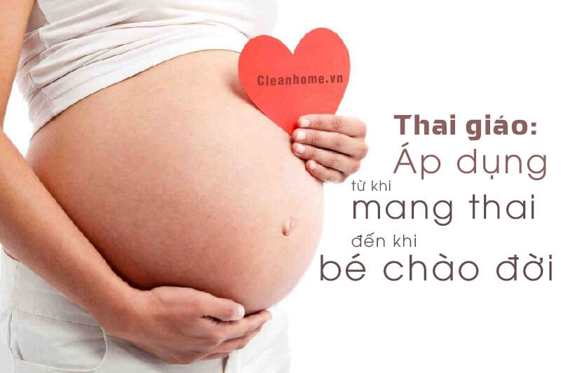 thai-giao-thai-nhi-la-gi-cac-phuong-phap-cleanhome-sl1